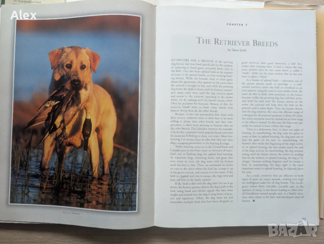 The Encyclopedia of North American Sporting Dogs, снимка 11 - Енциклопедии, справочници - 53518573