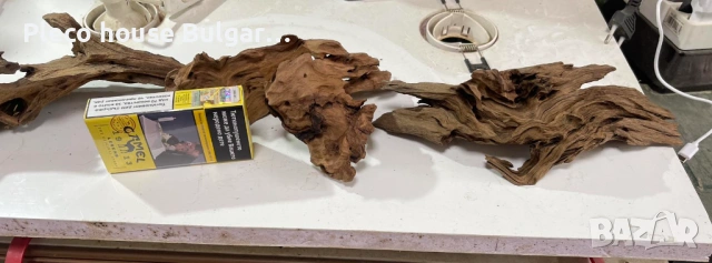 7 последни мангрови корена ,цена за всички 50 евро, снимка 4 - Оборудване за аквариуми - 53385277