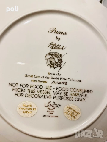 порцеланова чиния за стена 3 , снимка 3 - Декорация за дома - 51183942