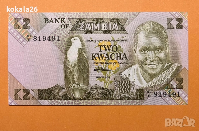 Замбия 2 квача