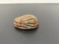 Скарабей / бръмбар от стеатит / камък. №7845, снимка 5