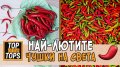 Семена от шестте най-лютите чушки на планетата : 1. Каролина Рийпър (Carolina Reaper) Средна лютивин, снимка 5