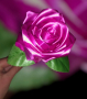 Ръчно изработени сатенени рози, снимка 2