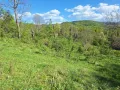 парцел в Еленският балкан , снимка 5