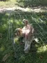 Продавам гълъби Димкежи , снимка 2