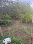 Продавам парцел с лозе и вода с. Калипетрово , снимка 2