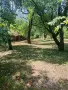 Продавам ПАРЦЕЛ в с.Типченица област Враца , снимка 7