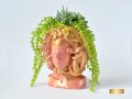 Декоративна саксия с форма на глава на Горгона Медуза / Подарък за жена / Саксия гръцка богиня, снимка 2