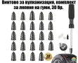 Винтове за вулканизация- 30бр., Vulcanization screws, ремонт на спукана гума, Студена вулканизация, снимка 1