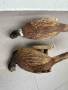 Препариран Фазан Фазани, снимка 7