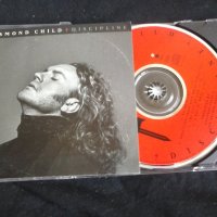 Desmond Child – Discipline оригинален диск, снимка 1 - CD дискове - 40689138