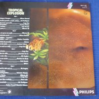 грамофонни плочи Tropical Explosion - 24 original top-hits from Brasil, снимка 5 - Грамофонни плочи - 34114090