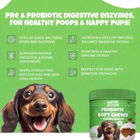 Nutripooch пробиотици за кучета - 120 дъвки, имунитет на червата, облекчаване сърбежа при алергии, снимка 6 - За кучета - 44207712