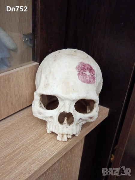 декоративен череп, снимка 1