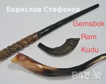 Шофар ✡︎ (Еврейски рог), снимка 1