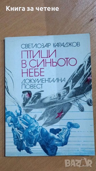 Птици в синьото небе    Светлозар Караджов , снимка 1