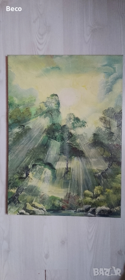 картина СВЕТЛИНА , снимка 1