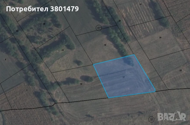 Собственик продава нива в с. Доброплодно, обл. Варна, снимка 2 - Земеделска земя - 53517682