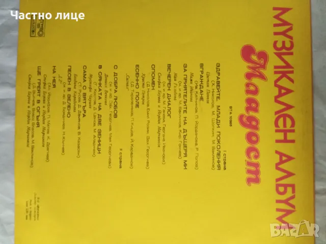 Грамофонна плоча-1лв., снимка 2 - Грамофонни плочи - 49195916