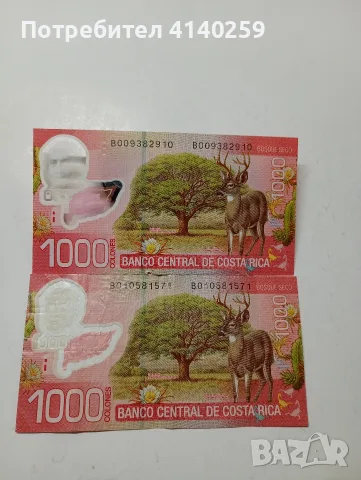 КОСТА РИКА БАНКНОТИ 1000 КОЛОНА , снимка 2 - Нумизматика и бонистика - 56150263