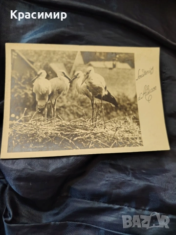 Ретро пощенска Картичка , снимка 4 - Филателия - 53475018