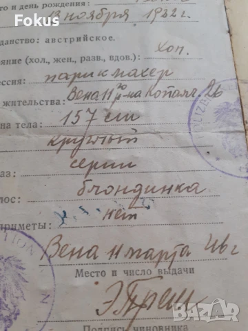 Стар паспорт Австрия Виена - оригинал, снимка 6 - Антикварни и старинни предмети - 50941565
