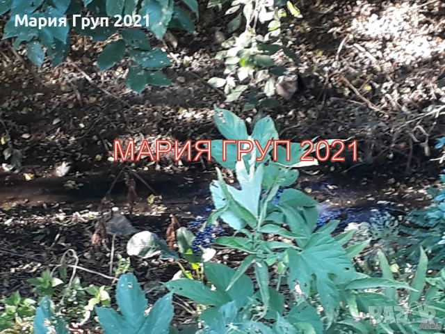 !!!ТОП ОФЕРТА!!!Продавам Двуетажна Къща в село Белица област Хасково!!!, снимка 7 - Къщи - 52277815