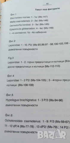 Плиоценски дребно бозайници - дипломна работа, снимка 10 - Специализирана литература - 44655504