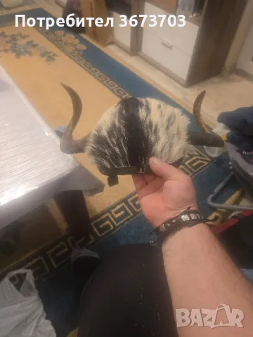 Каска за мотор с муфлонски рога, снимка 4 - Аксесоари и консумативи - 48329464