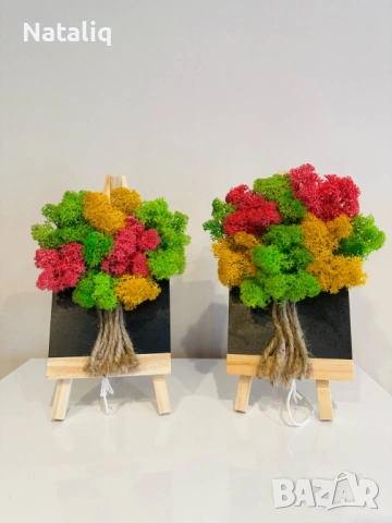 Декорации от скандинавски мъх, снимка 5 - Декорация за дома - 53307440