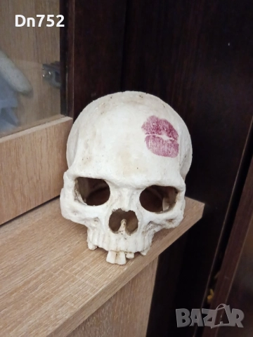 декоративен череп