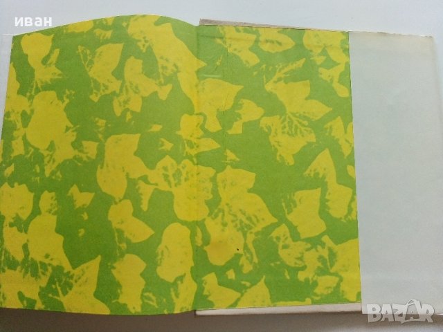 Атлас по Ботаника - Сл.Петров,Е.Паламарев - 1994г.  , снимка 6 - Енциклопедии, справочници - 42277632