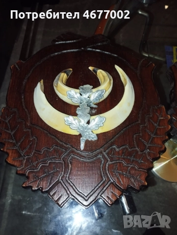 Глиги от диво прасе, снимка 7 - Антикварни и старинни предмети - 52828264