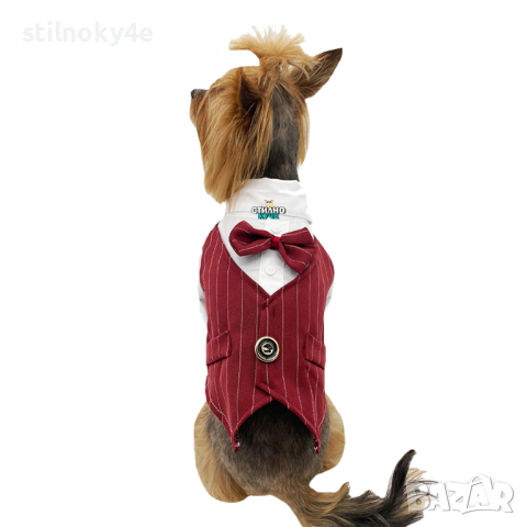 Смокинг за куче Смокинги за кучета Кучешки смокинг Официална дреха за куче Сако/Костюм за куче, снимка 1