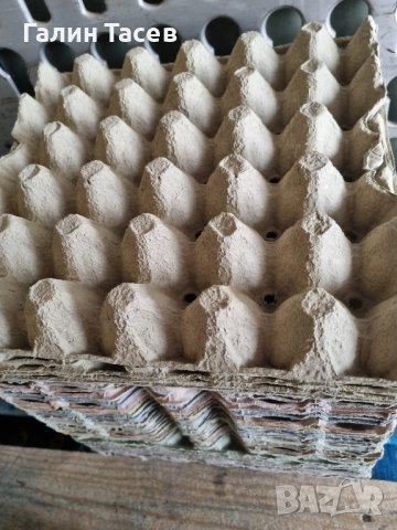 Продавам Кори за яйца, снимка 2 - Кокошки и пуйки - 42125345