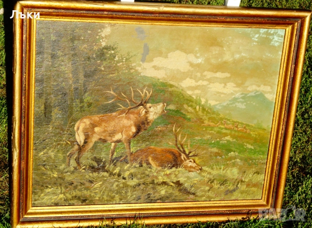 Стара маслена картина Елен,Сърни,победител,подпис. , снимка 4 - Картини - 52159380