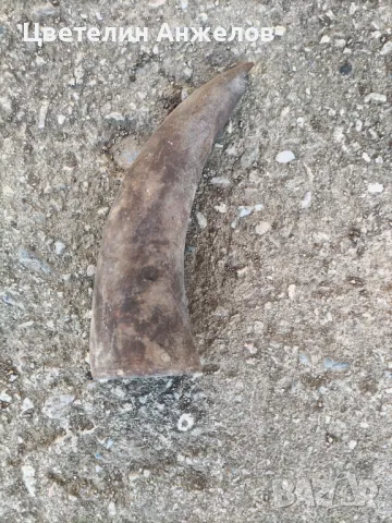 Стара барутница