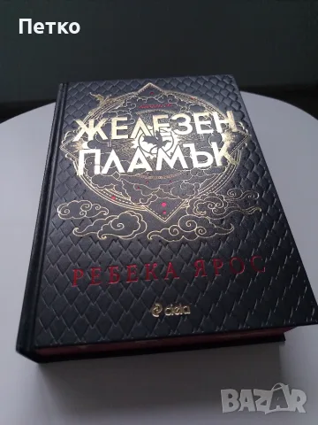 Книга Железен пламък от Ребека Ярос