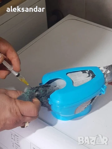 Пистолет за ваксиниране 10мл за птици и други животни , снимка 8 - За птици - 50597906