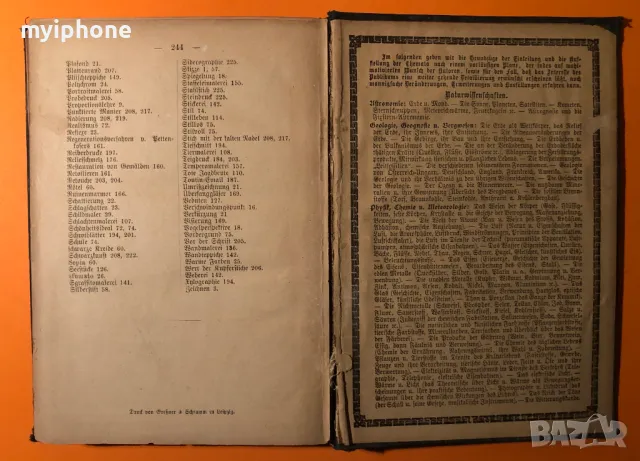 Стара Книга Изкуство История на Изкуствата Алвин Шулц 1884 г. на Немски, снимка 10 - Антикварни и старинни предмети - 49296538