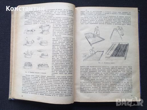 Цветарство Тираж - 1500 броя Учебник , снимка 2 - Специализирана литература - 41142458