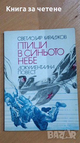 Птици в синьото небе    Светлозар Караджов , снимка 1