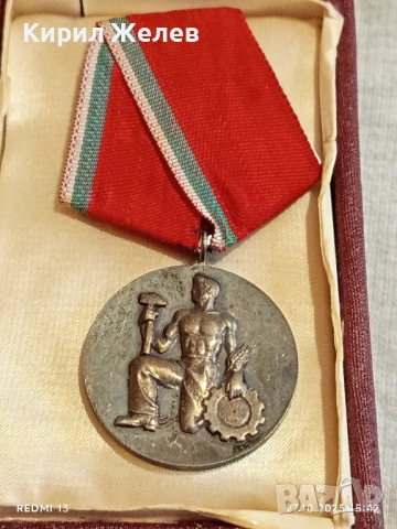 ОРДЕН на ТРУДА сребърен в кутия високо качество за КОЛЕКЦИЯ 47624, снимка 5 - Антикварни и старинни предмети - 52199667