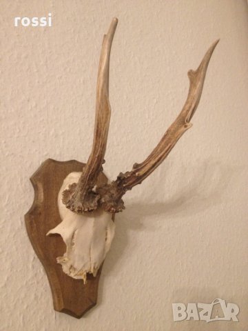 Немски трофей сръндак, документ., снимка 3 - Други ценни предмети - 35962933