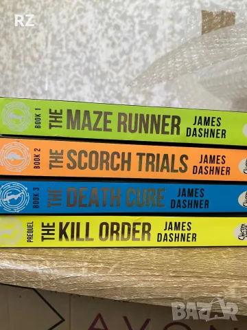 The maze runner