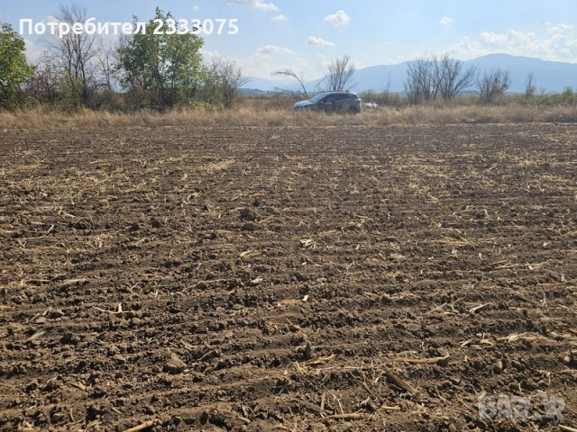 Продавам 25 дка земя в землището на с. Боянци, обл. Пловдив, снимка 10 - Земеделска земя - 53530308