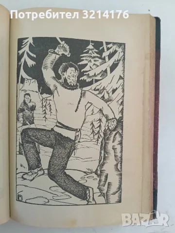 Конникътъ безъ глава / Оцеола / На ловъ за мечки / Синиятъ Дикъ - Майнъ Ридъ (1928), снимка 11 - Художествена литература - 55875586