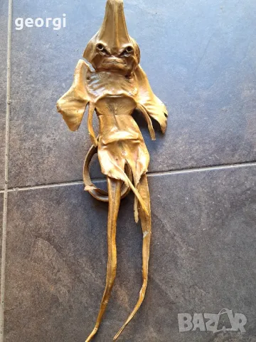 препарирана екзотична риба  7/4