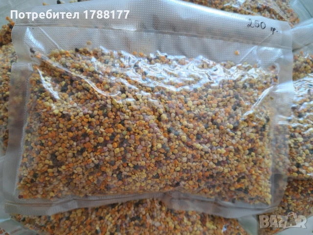 Пчелен прашец , снимка 9 - Пчелни продукти - 51317272