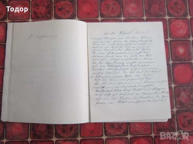 Стар немски дневник лексикон от 1912 до 1924, снимка 3 - Колекции - 36100244